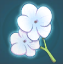 Snowdew Blossom